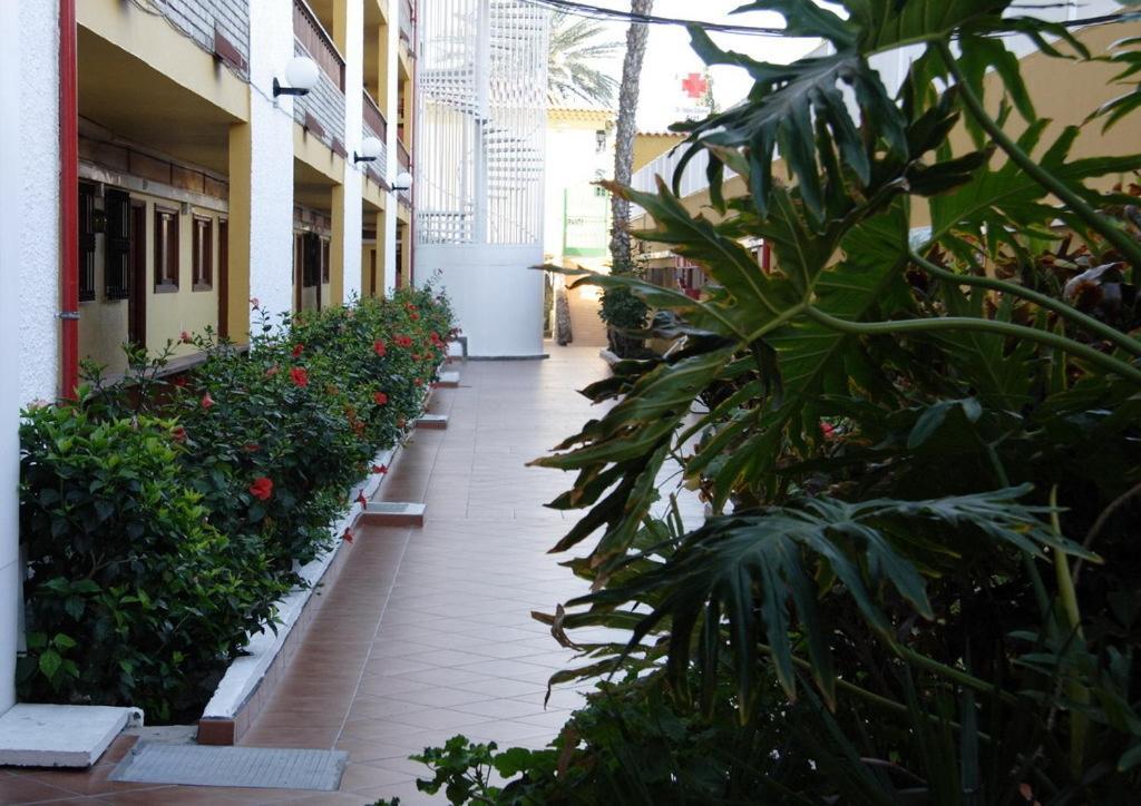 Apartamentos Los Tilos Playa del Ingles  Exterior photo